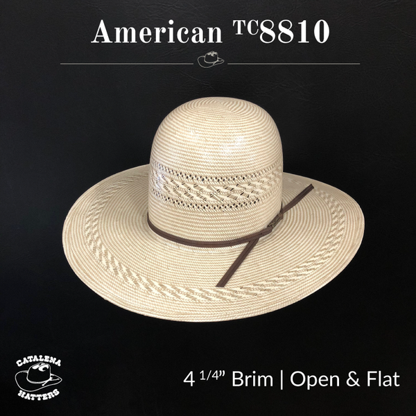 Web2018-AMTC8810-414_600x.png?