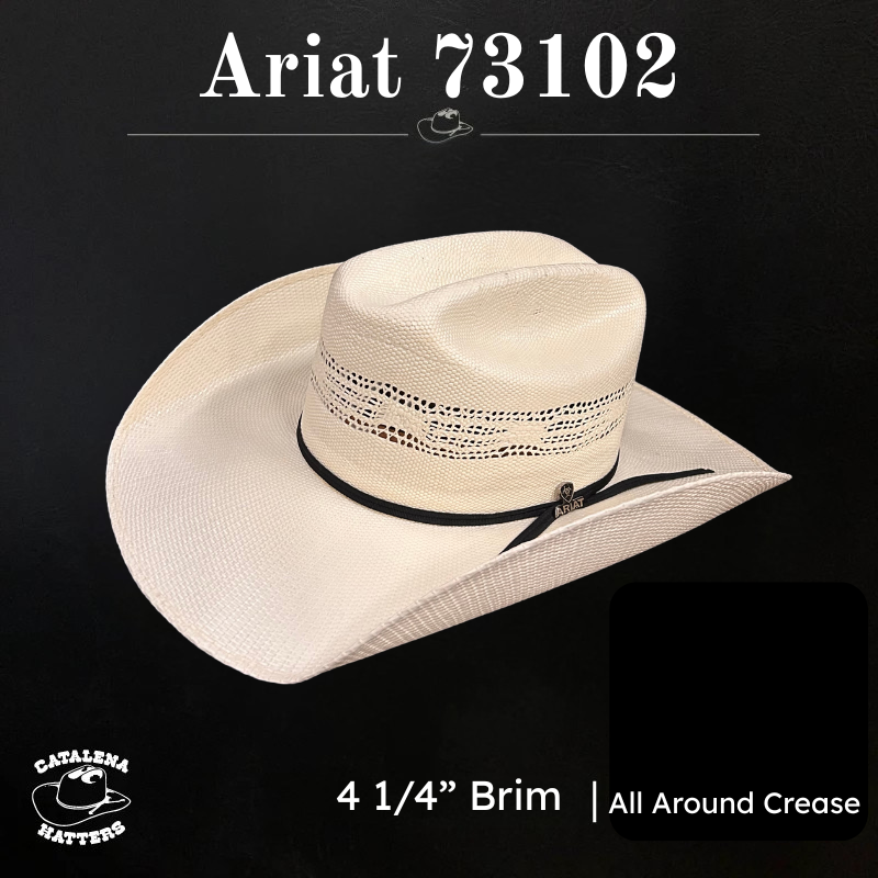 A73102