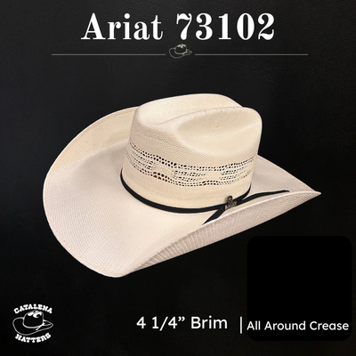 A73102