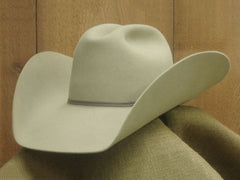 cf_big_brim_aa_medium.jpg?v=